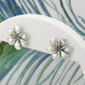 Silverörhängen blomma silver örhängen