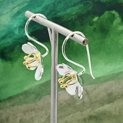 Silverörhängen, Blomma med guld