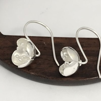 Silverörhängen, Blomma