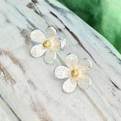 Silverörhängen, Blomma med guld