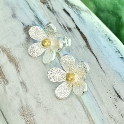 Silverörhängen, Blomma med guld