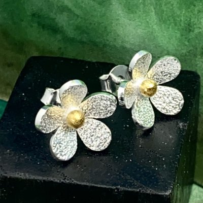 Silverörhängen, Blomma med guld