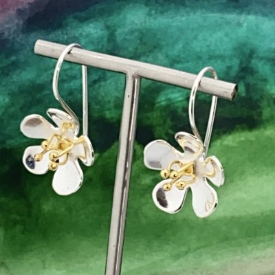 Silverörhängen, Blomma med guld