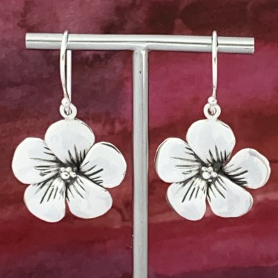 Silverörhängen, Blomma