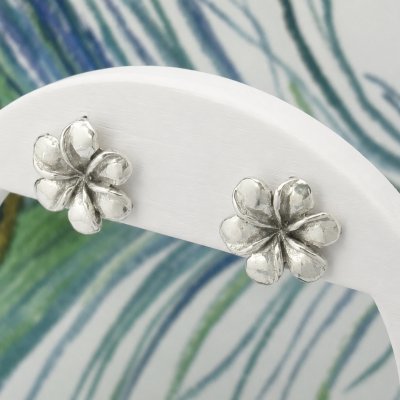 Silverörhängen blomma silver örhängen