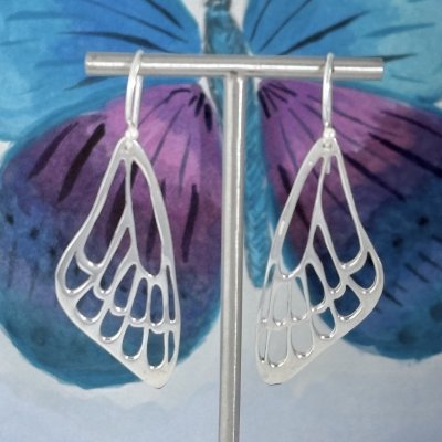 Silverörhängen, Fjärilsvinge 