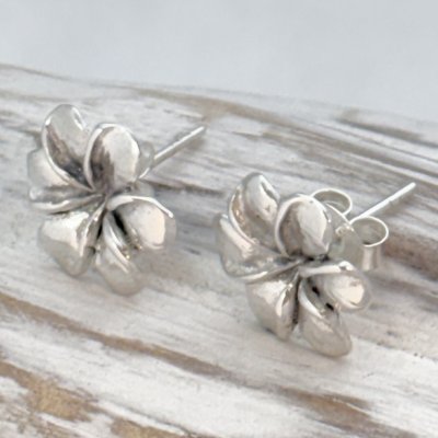 Silverörhängen, Blomma 