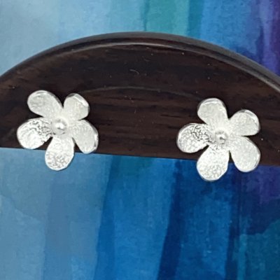 Silverörhängen, Blomma 