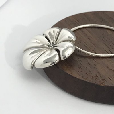 Silverhalsband, Blomma