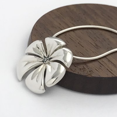 Silverhalsband, Blomma
